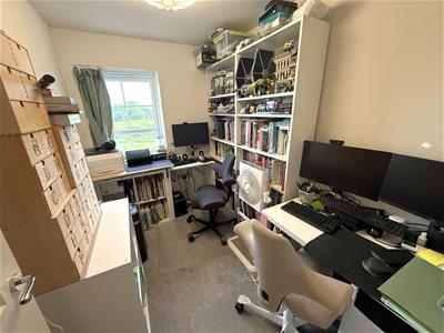 Picture 5
